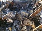 2016 Volkswagen Tiguan S Пожар vin: WVGAV7AX0GW511348