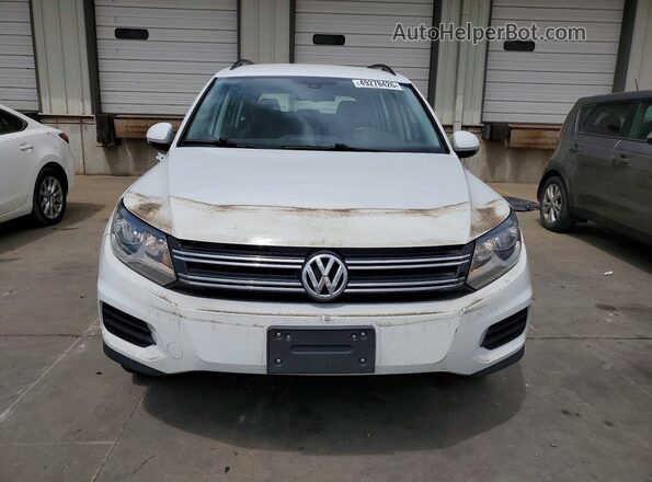 WVGAV7AX0GW540736 2016 VOLKSWAGEN TIGUAN Белый Вид спереди