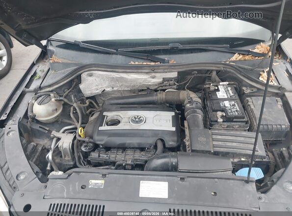 WVGAV7AX0GW542700 2016 VOLKSWAGEN TIGUAN Синий Вид сзади