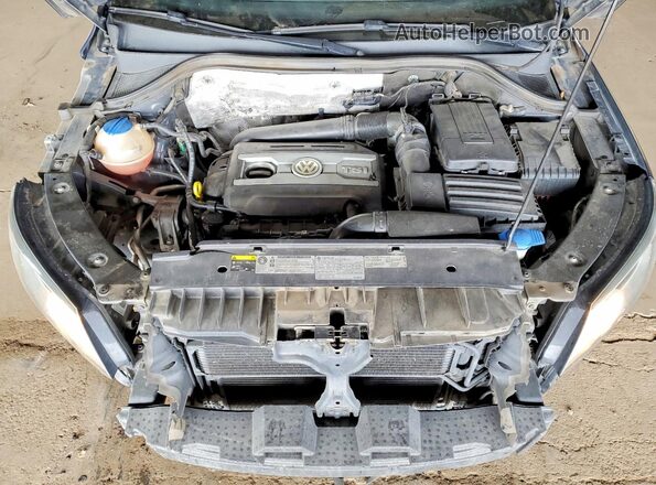 WVGAV7AX0GW603916 2016 VOLKSWAGEN TIGUAN Blue Vista interior trasera