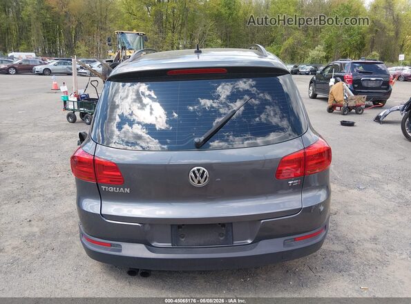WVGAV7AX3GW558308 2016 VOLKSWAGEN TIGUAN Серый 