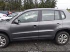 2016 Volkswagen Tiguan S Gray vin: WVGAV7AX3GW565954