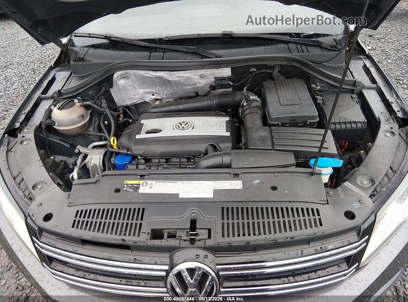 WVGAV7AX3GW565954 2016 VOLKSWAGEN TIGUAN Gray Вид ззаду