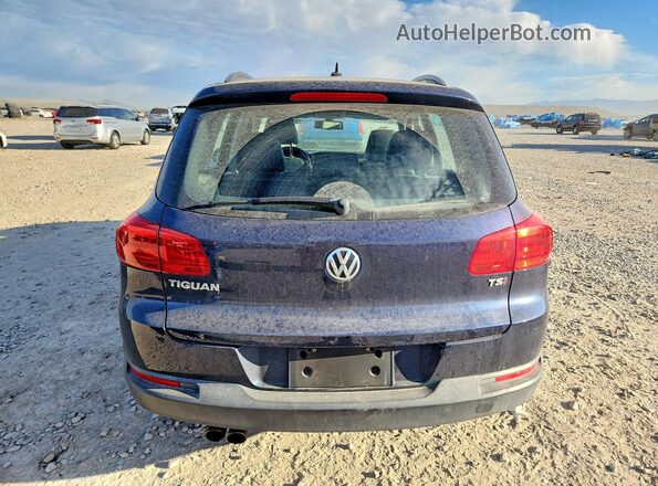 WVGAV7AX5GW555944 2016 VOLKSWAGEN TIGUAN Синий Вид сзади