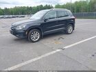 2017 Volkswagen Tiguan 2.0t Wolfsburg Edition Black vin: WVGSV7AX0HW508908 2017 Volkswagen Tiguan 2.0t Wolfsburg Edition Black vin: WVGSV7AX0HW508908