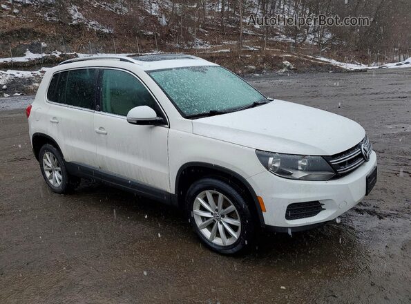 WVGSV7AX6HK013538 2017 VOLKSWAGEN TIGUAN White Передня права чверть