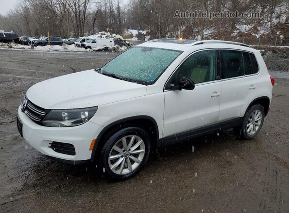 WVGSV7AX6HK013538 2017 VOLKSWAGEN TIGUAN White Передня ліва чверть