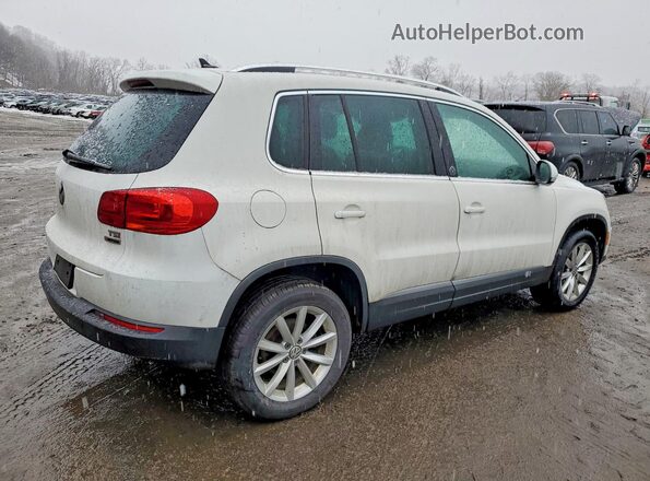WVGSV7AX6HK013538 2017 VOLKSWAGEN TIGUAN White Задня права чверть