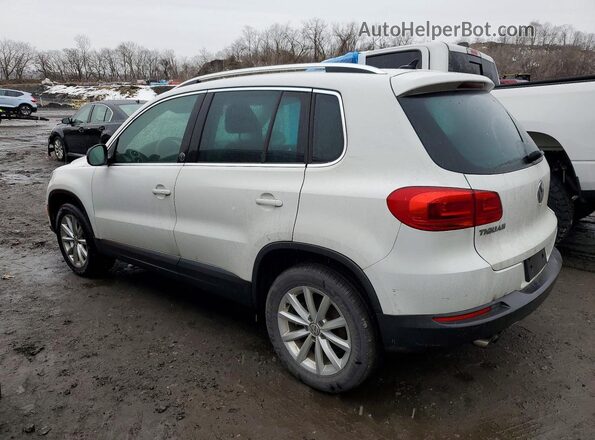 WVGSV7AX6HK013538 2017 VOLKSWAGEN TIGUAN White Задня ліва чверть