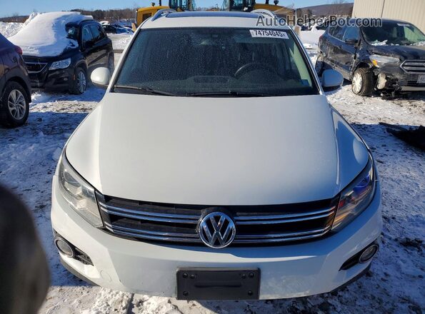 WVGWV7AX5HW503818 2017 VOLKSWAGEN TIGUAN Белый Вид спереди