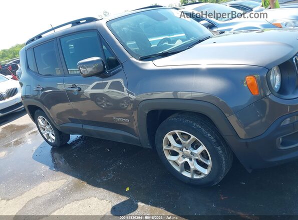 ZACCJABB7JPH25203 2018 JEEP RENEGADE Серый Вид задней части салона