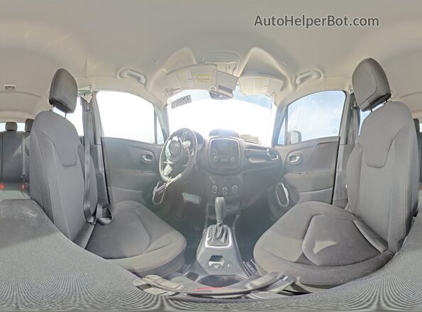 ZACNJAAB6LPM01461 2020 JEEP RENEGADE Gray Widok naklejki z numerem VIN