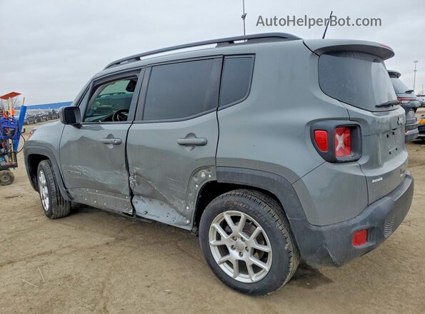 ZACNJABB4LPL50623 2020 JEEP RENEGADE Gray Задня ліва чверть