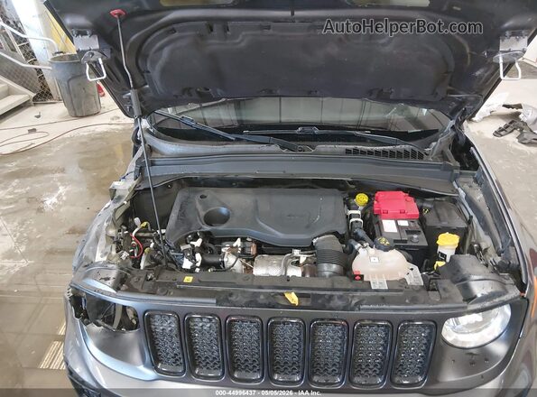 ZACNJBB18KPK46048 2019 JEEP RENEGADE Серый Вид сзади