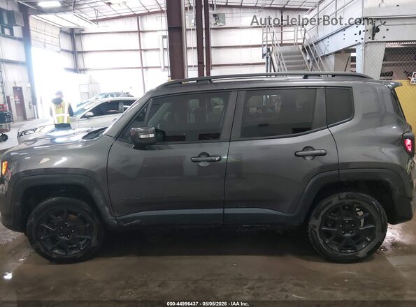 ZACNJBB18KPK46048 2019 JEEP RENEGADE Серый 
