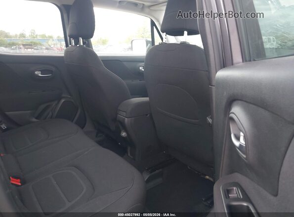 ZACNJBBB0LPM00438 2020 JEEP RENEGADE Gray Widok naklejki z numerem VIN