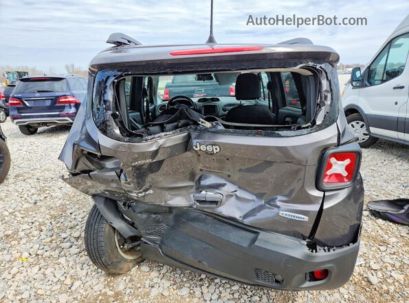 ZACNJBBB8KPJ96826 2019 JEEP RENEGADE Gray Vista trasera