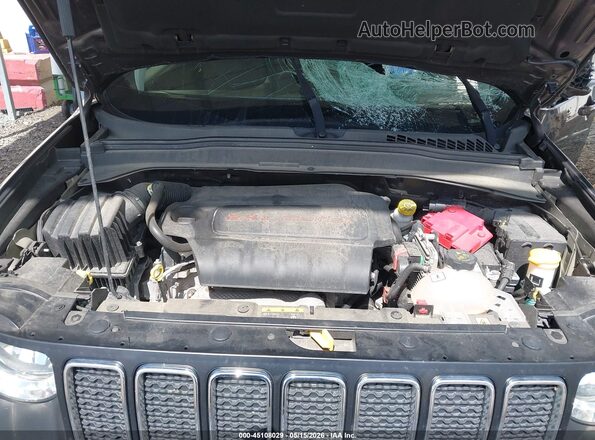 ZACNJBBB8LPL73344 2020 JEEP RENEGADE Gray Widok z tyłu