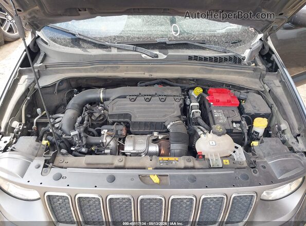 ZACNJBD11LPM03787 2020 JEEP RENEGADE Gray უკანა ხედი