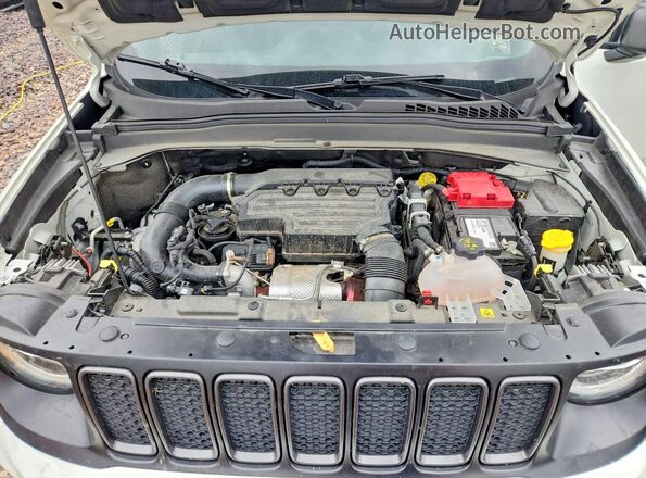 ZACNJDB16MPN30759 2021 JEEP RENEGADE Белый Вид задней части салона