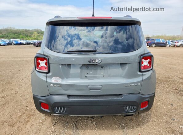 ZACNJDD17MPN19248 2021 JEEP RENEGADE Серый Вид сзади