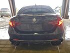 2017 Alfa Romeo Giulia Quadrifoglio Black vin: ZARFAEAV5H7555310