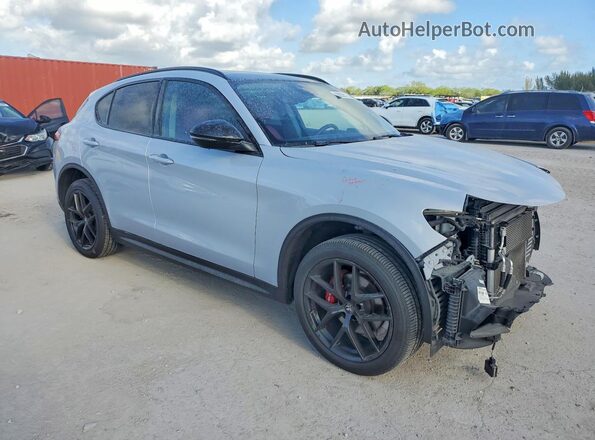 ZASPAJAN0L7C90819 2020 ALFA ROMEO STELVIO Серебряный Передняя правая четверть