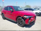 2019 Alfa Romeo Stelvio Rwd Red vin: ZASPAJAN8K7C70820