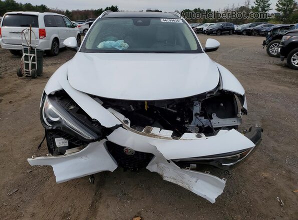 ZASPAKBN0K7C30588 2019 ALFA ROMEO STELVIO White Widok z przodu