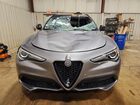2019 Alfa Romeo Stelvio Ti Gray vin: ZASPAKBN0K7C43356