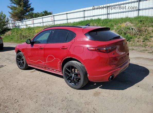 ZASPAKBN1L7C76934 2020 ALFA ROMEO STELVIO Красный Задняя левая четверть