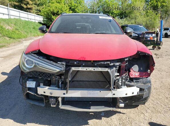 ZASPAKBN1L7C76934 2020 ALFA ROMEO STELVIO Красный Вид спереди