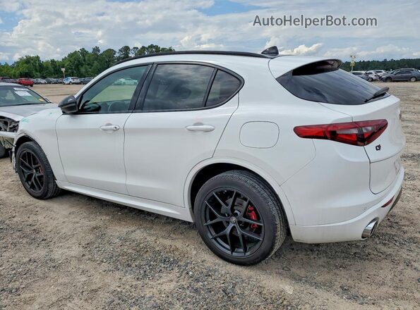 ZASPAKBN1M7D20559 2021 ALFA ROMEO STELVIO White Rear left