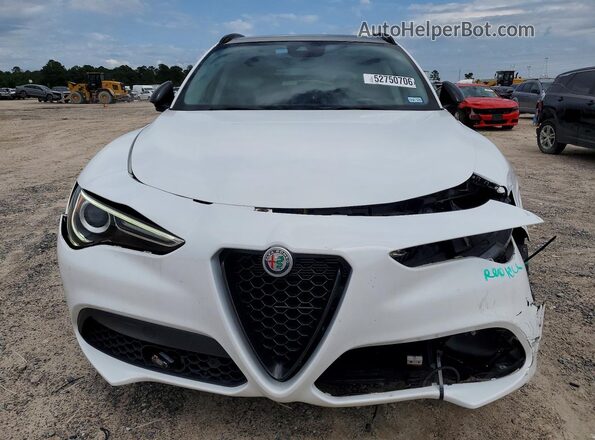 ZASPAKBN1M7D20559 2021 ALFA ROMEO STELVIO White Front view