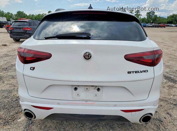 ZASPAKBN1M7D20559 2021 ALFA ROMEO STELVIO White Rear view