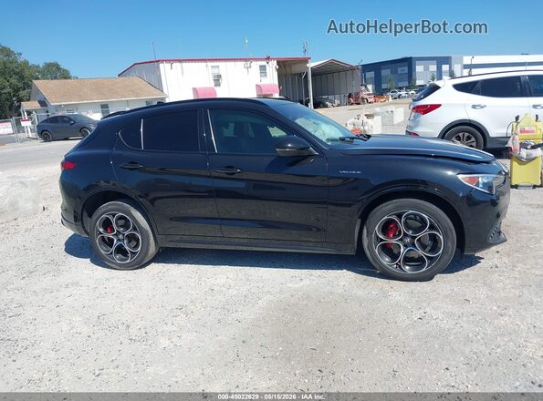 ZASPAKBN1N7D28615 2022 ALFA ROMEO STELVIO Черный Вид задней части салона