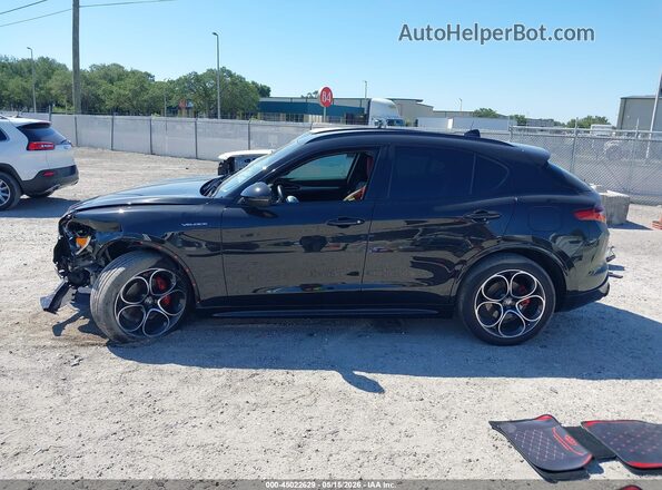 ZASPAKBN1N7D28615 2022 ALFA ROMEO STELVIO Черный Панорамный вид салона 360°