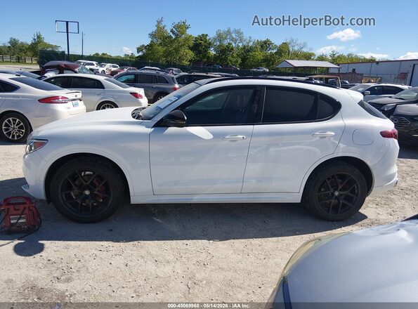 ZASPAKBN3M7D02127 2021 ALFA ROMEO STELVIO White Սալոնի 360 աստիճան տեսք