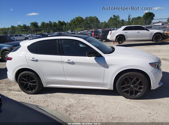 ZASPAKBN3M7D02127 2021 ALFA ROMEO STELVIO White Սալոնի հետևի տեսք