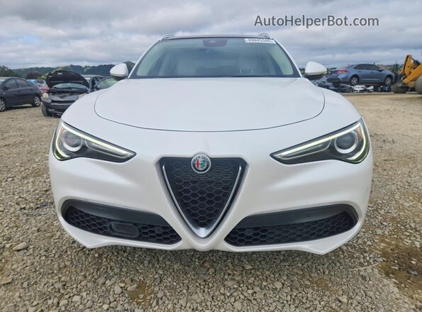 ZASPAKBN4K7C71273 2019 ALFA ROMEO STELVIO Белый Вид спереди