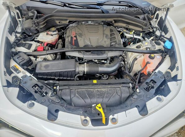 ZASPAKBN4K7C71273 2019 ALFA ROMEO STELVIO Белый Вид подкапотного пространства