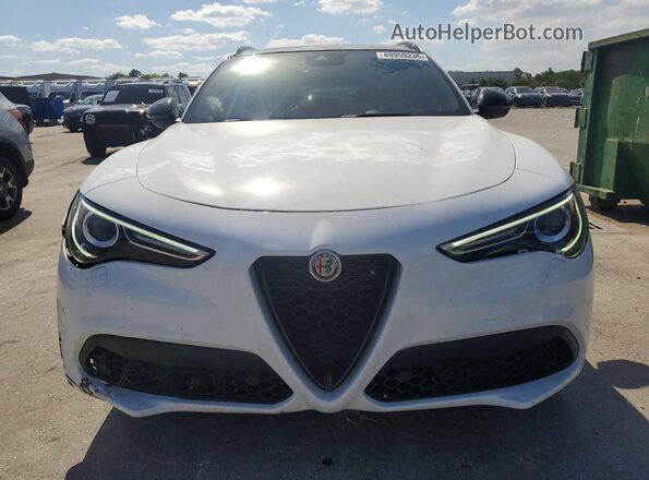 ZASPAKBN4P7D55021 2023 ALFA ROMEO STELVIO White Widok z przodu