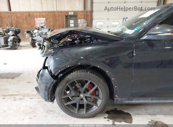 ZASPAKBN9K7C67512 2019 ALFA ROMEO STELVIO Черный 