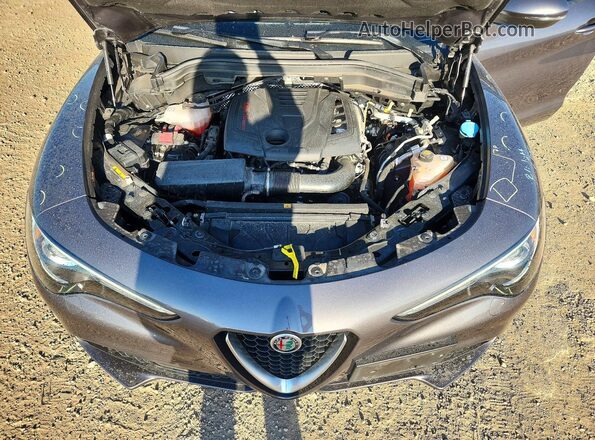ZASPAKBNXN7D38995 2022 ALFA ROMEO STELVIO Gray Widok komory silnika