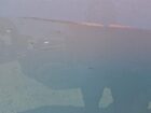 2016 Ram Promaster City Белый vin: ZFBERFAT0G6C28830 Damage: Right Sliding Door, Multiple Scratches Heavy, 4