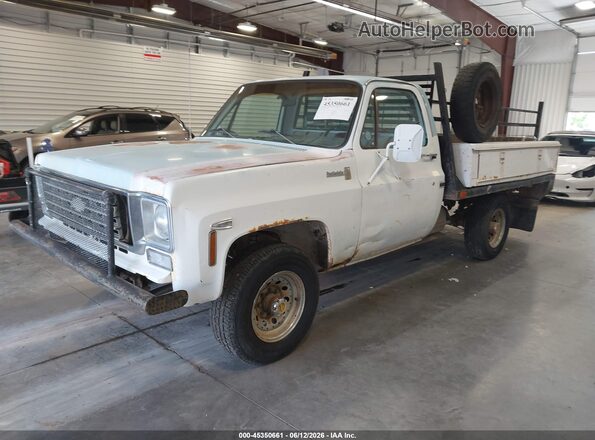1976 CHEVROLET C20  
