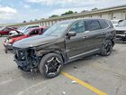 2025 Kia Telluride S Зеленый vin: 5XYP6DGCXSG693032