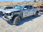 2024 Toyota Tacoma Trd Off-road Silver vin: 3TMLB5JN1RM038412
