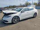 2016 Acura Tlx Белый vin: 19UUB1F37GA000103