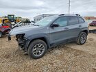 2022 Jeep Cherokee Trailhawk Gray vin: 1C4PJMBX0ND512631